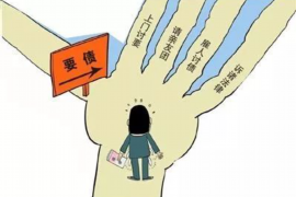 阳谷债务清欠服务